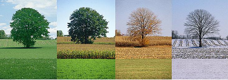 《宝可梦：大集结》“暴鲤龙”预告 1月25日上线